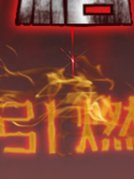 赛格雅.引燃